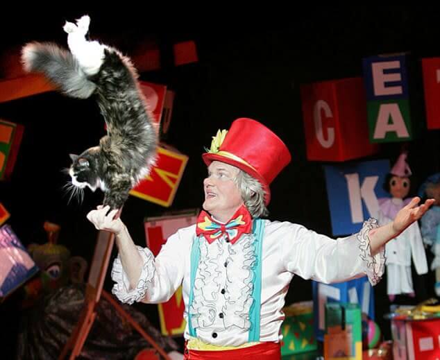 The Theater Where Everyone Is A  Cat