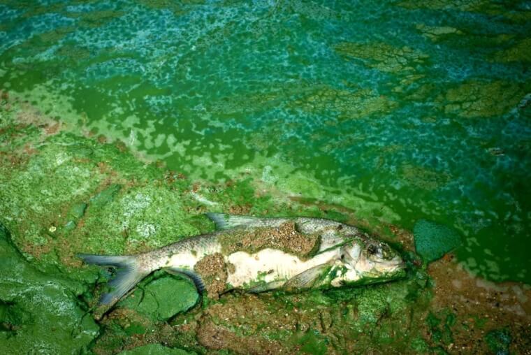 The Lake That Can Kill You Under An Hour