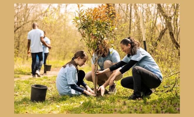 Why Sustainability Is a Shared Responsibility