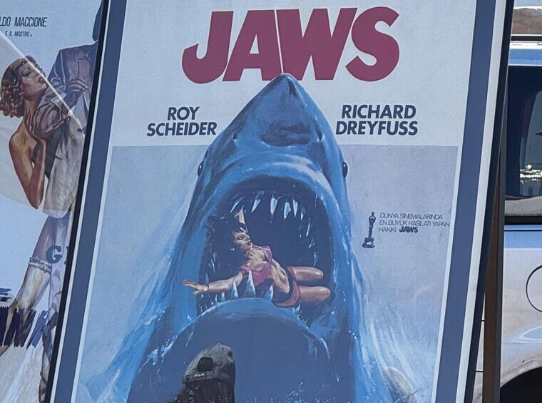 Jaws and a Fear of the Ocean