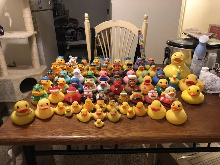 The “Rubber Duckie” Song