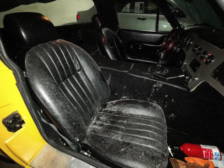 Mold and Damp Issues