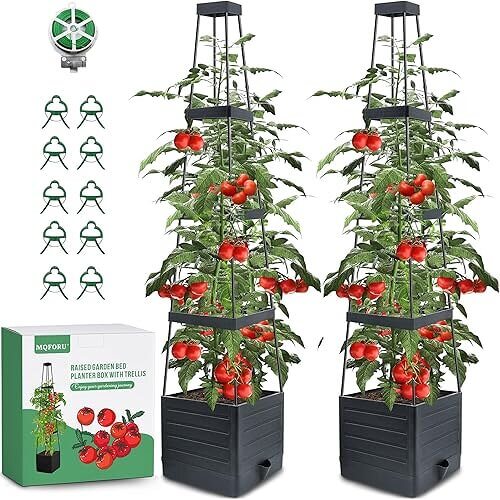 Complete Tomato Planter with Trellis that Supports Climbing Plants. Now 8% Off!