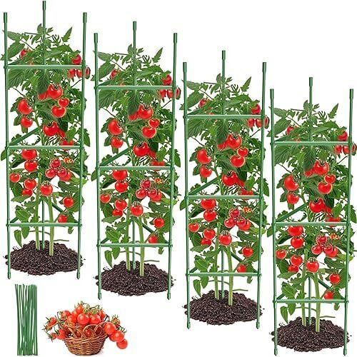 Sturdy Tomato Cages Set that Supports Heavy Plants. Now 10% Off!