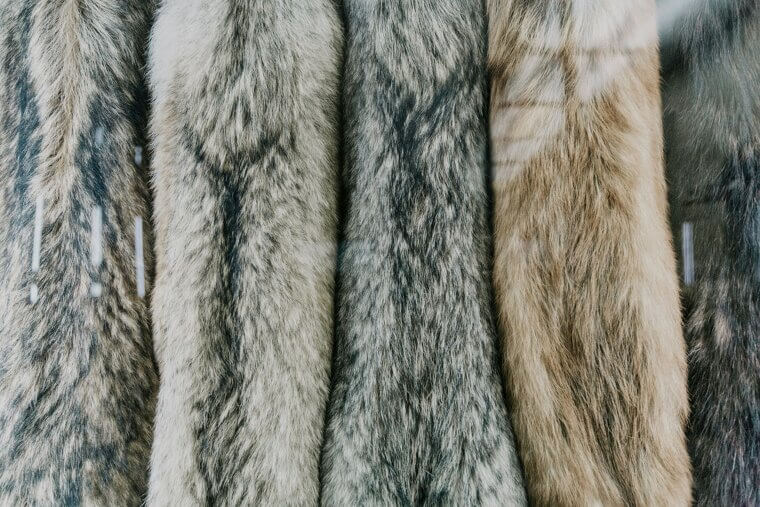Furs or Faux Furs