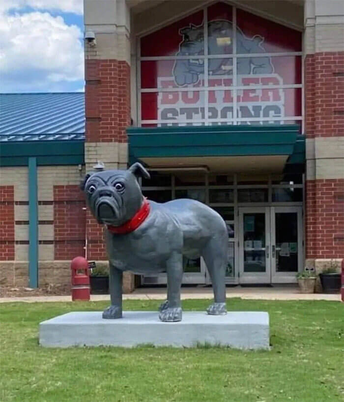 This Bulldog Wouldn't Scare Anyone