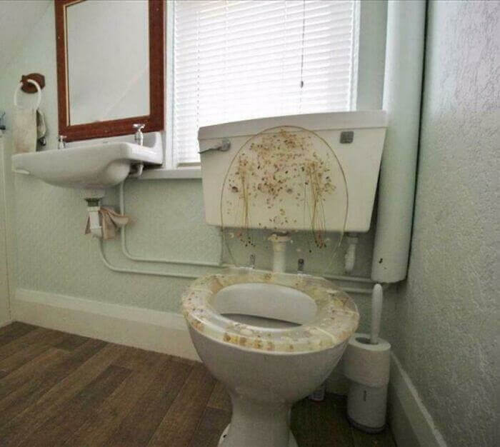 A Toilet Seat That No One Would Want To Sit On
