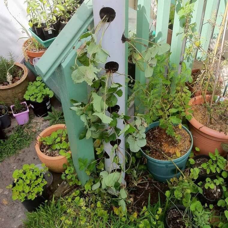 Macetero vertical casero