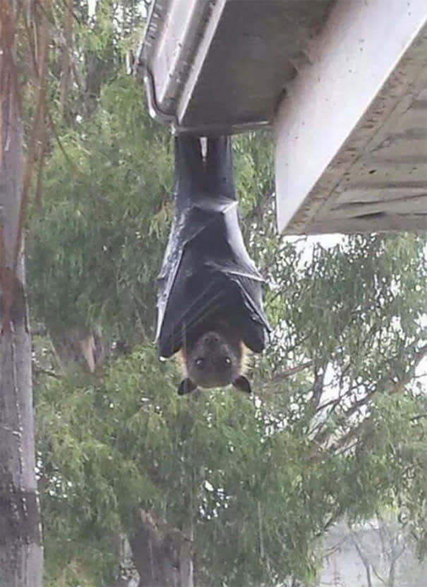 "Just Hanging Out"
