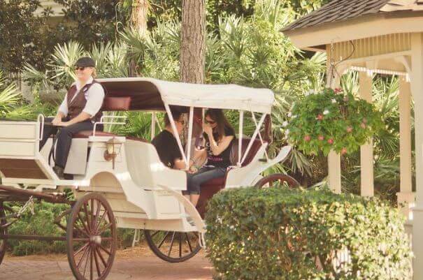 On A Princess Carriage