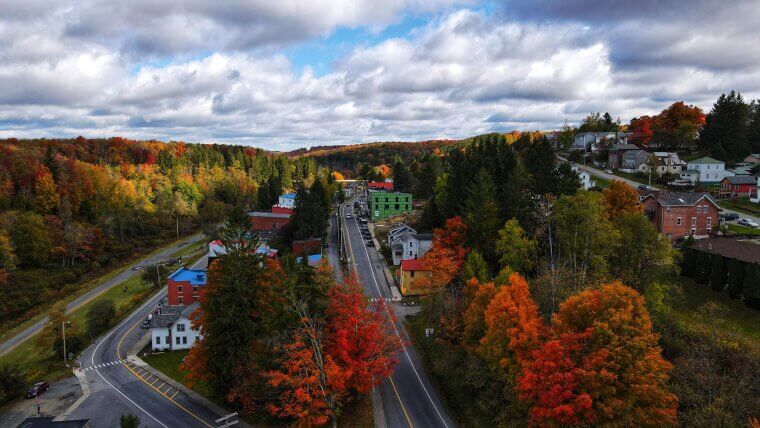 West Virginia – Eating Roadkill Is Legal