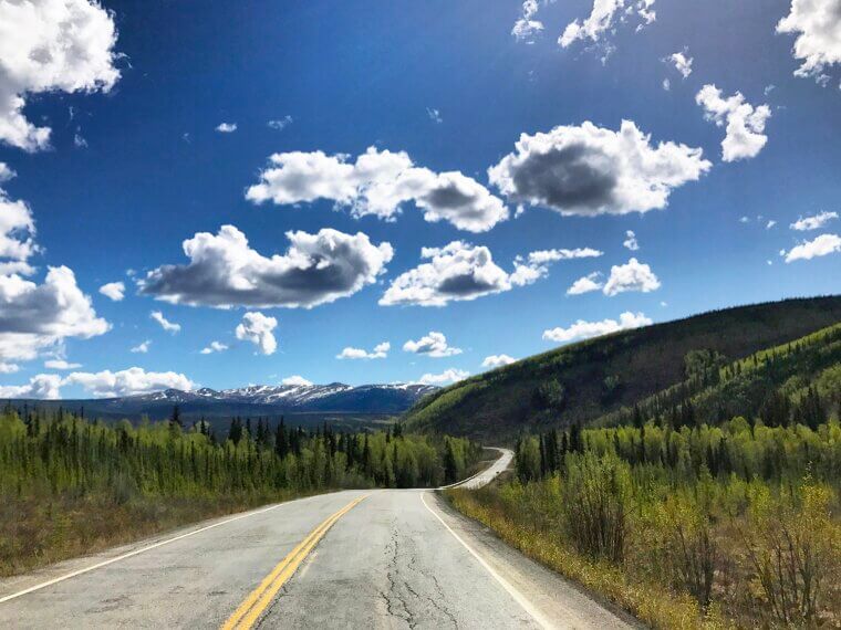 Alaska – No Dogs on the Roof