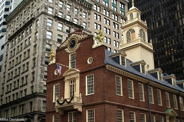 Massachusetts – It’s Illegal to Drive With a Gorilla in Your Backseat