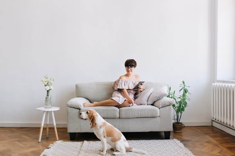 Manage Bugs and Animals