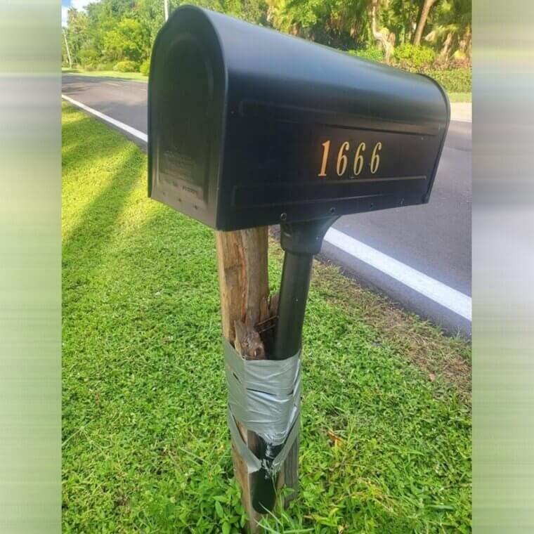 Checking the Mailbox
