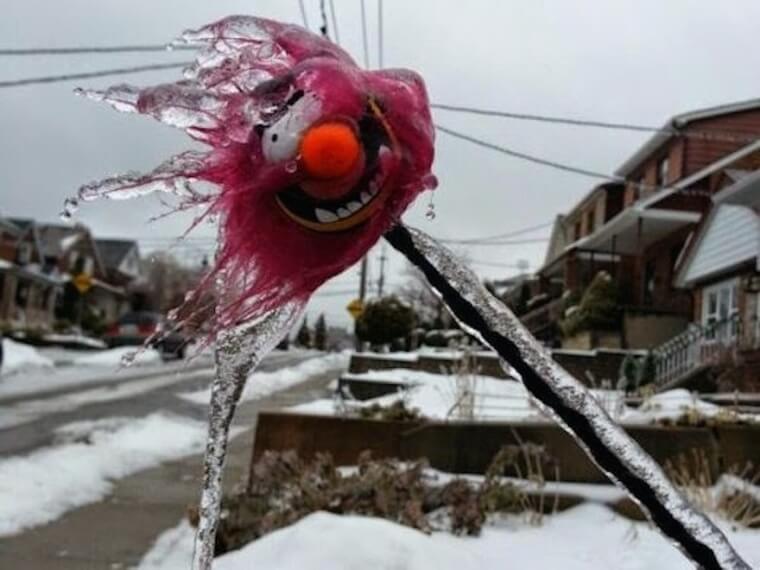 A Random Sesame Street Frozen Object