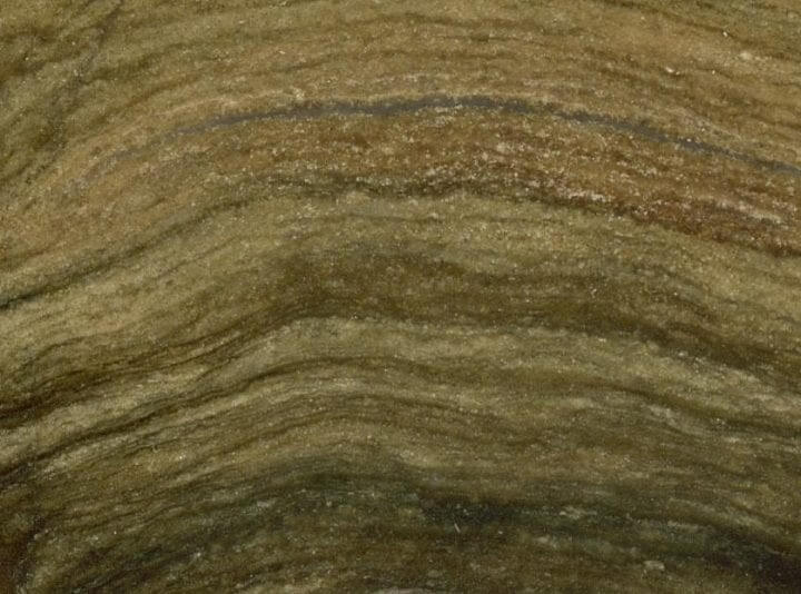 Bacteria From The Ancient Times