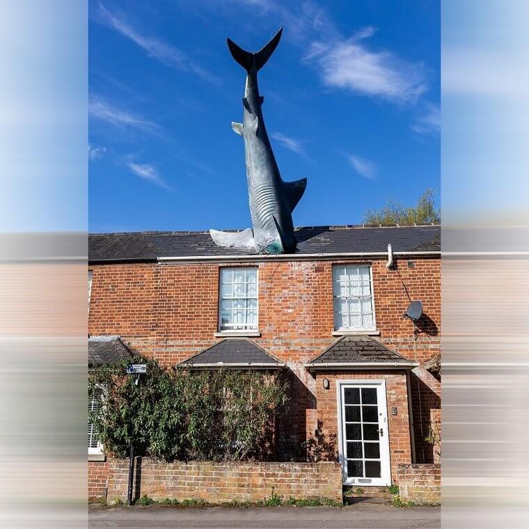 The Headington Shark by John Buckley - England