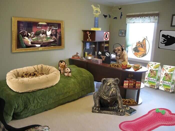 "The Dog Took Over Your Room When You Left For College"