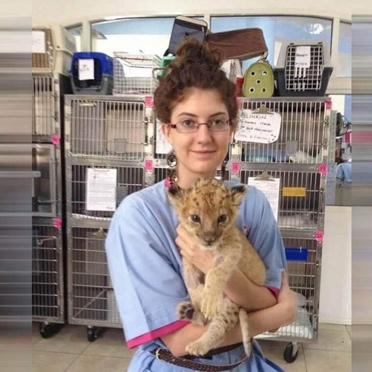 Lion Cub Love for Everyone