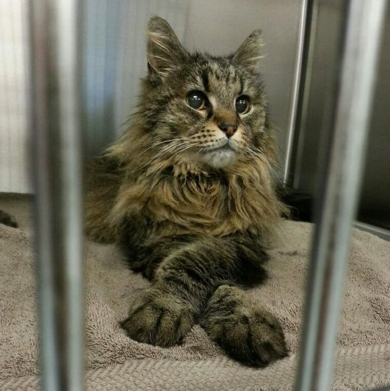 It Can Be Hard to Keep It Professional When Your Patient Is so Good Looking