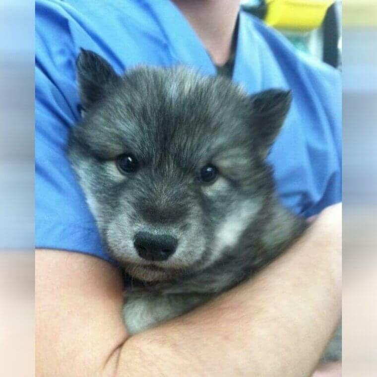 So Scary yet so Cute