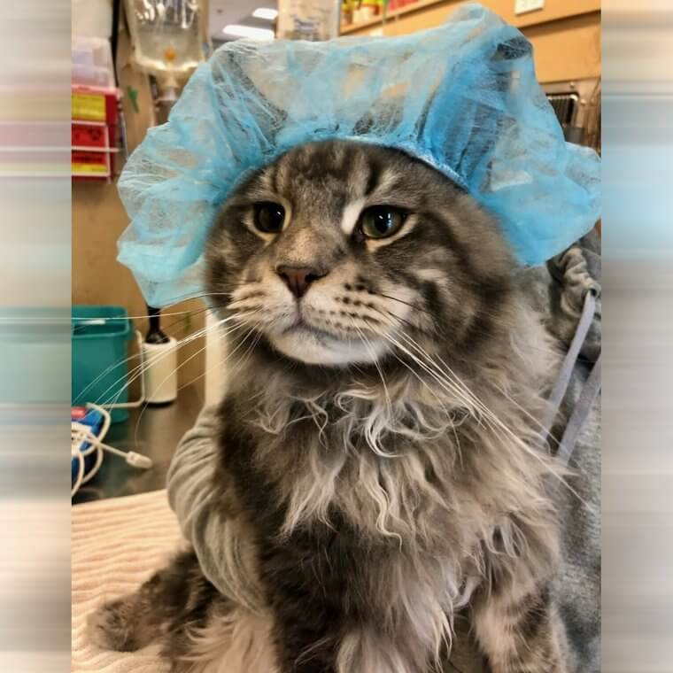 It's All Fun and Games