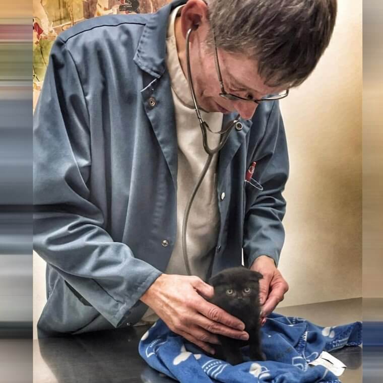 A Look That Says "there Will Be Consequences for This"