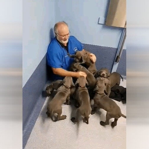 There Is Strength in Numbers