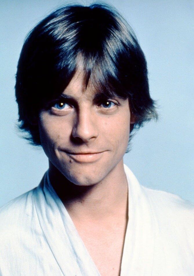 Mark Hamill Was Once A Part of the Bradford Family