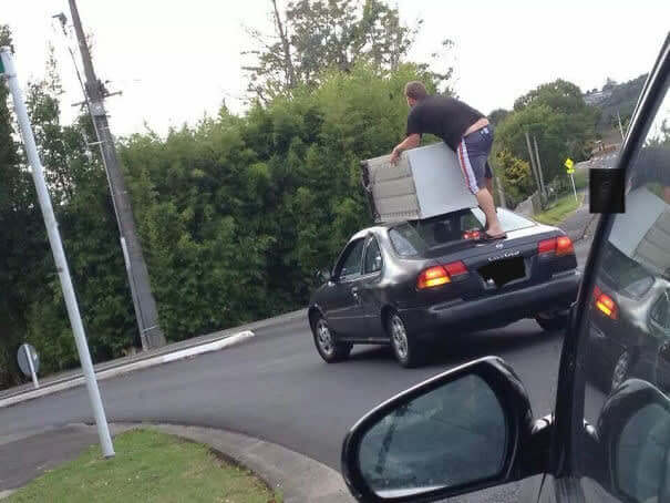 Just An Average Day In The Neighborhood