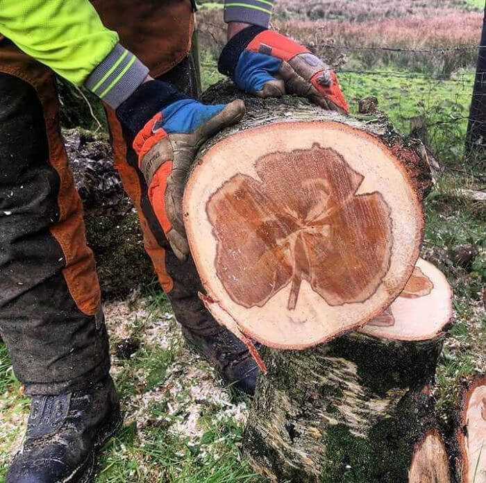 Corazón de madera con forma de trébol de tres hojas