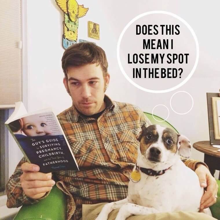 What Happens To The Doggy When The Baby Arrives?