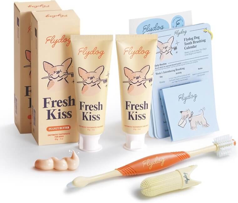FlyDog Tooth Brushing Kit - Fresh Breath & Healthy Teeth