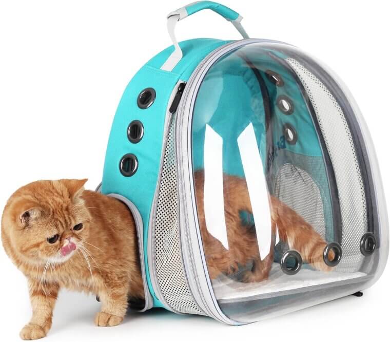 Lollimeow Pet Backpack - Expandable, Airline Approved Fun