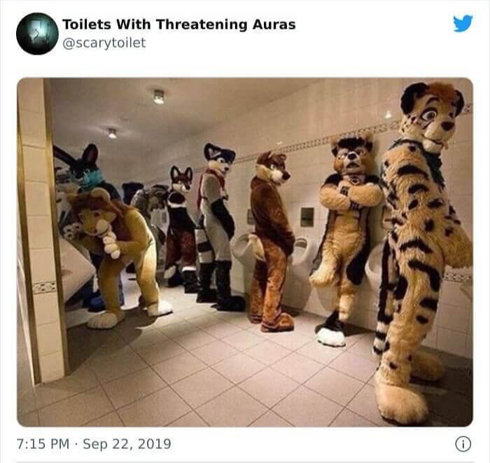 Furries