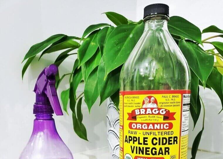 Apple Cider Vinegar