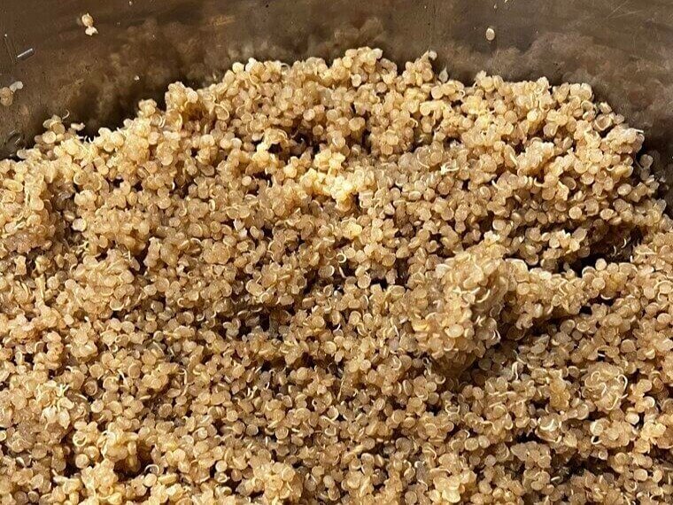 Quinoa