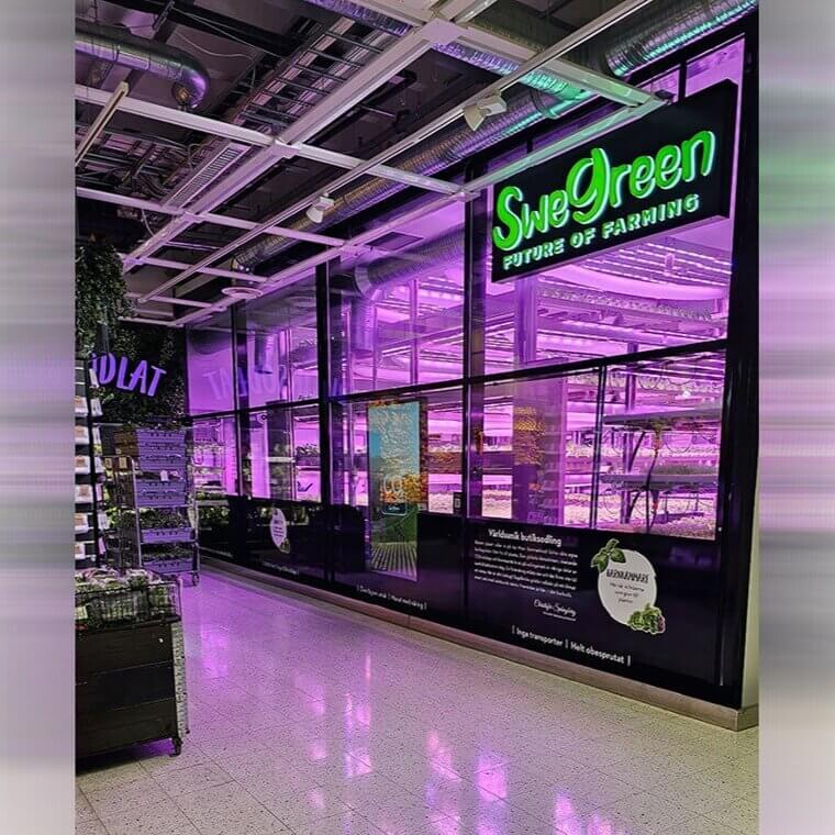 This Supermarket Grows It's Own Vegetables for Even Fresher Produce