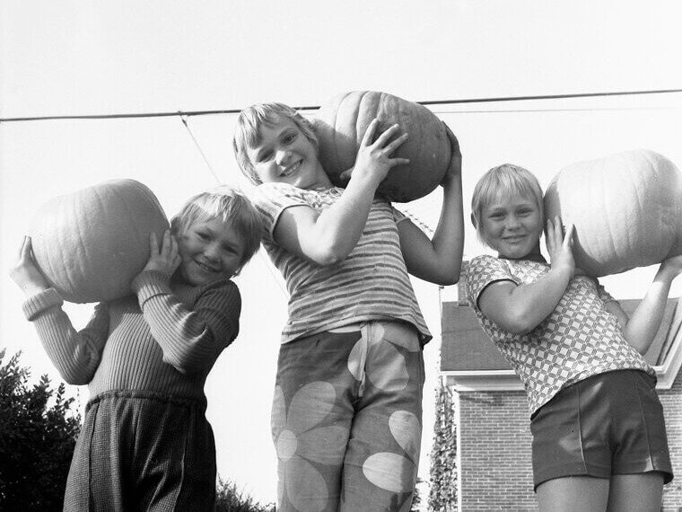 Sweeping the Garage Floor