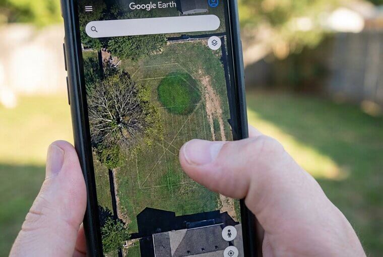 What's Hiding in Your Own Backyard