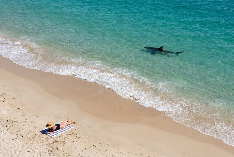A Sunbather Had No Idea