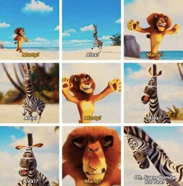 Madagascar - The Reunion