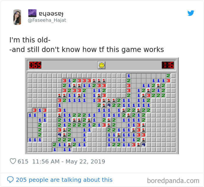 The Minesweeper