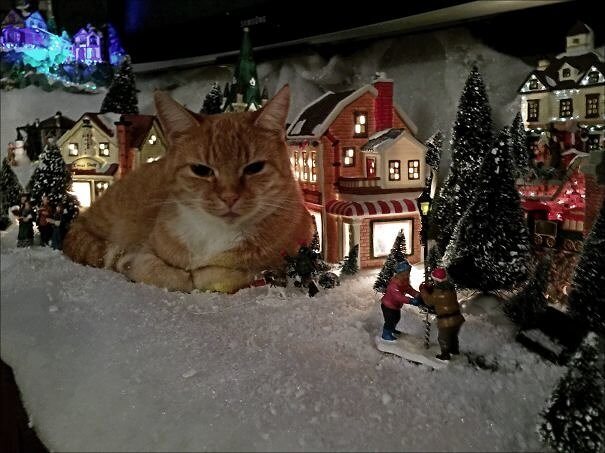 Catzilla Overtakes a Christmas Town