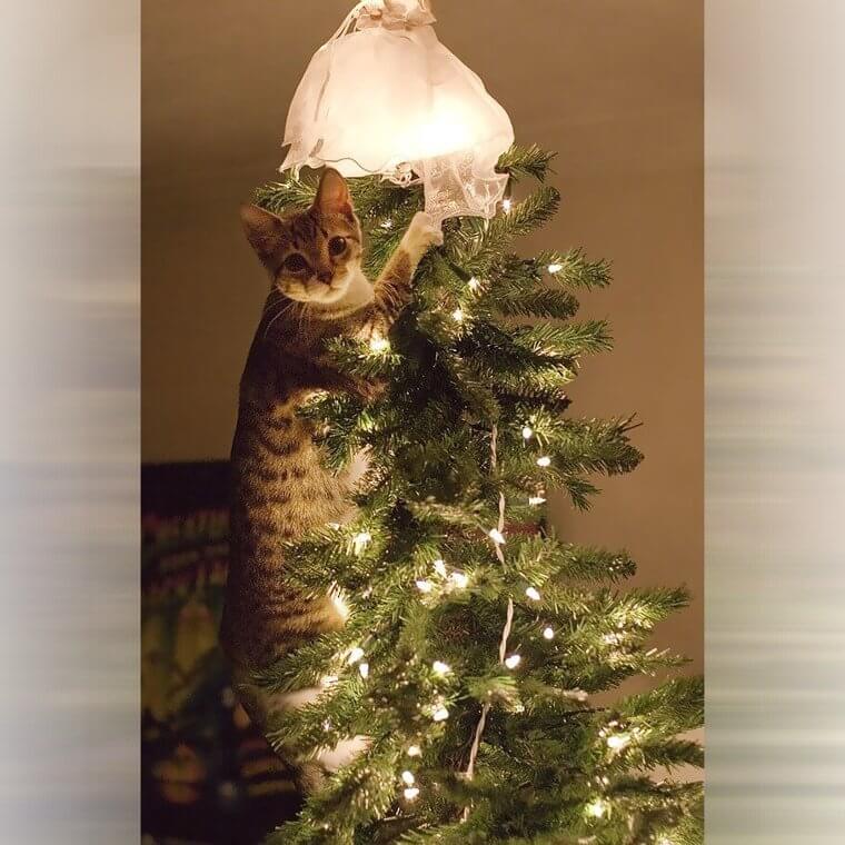 Peaking up the Angel's Skirt