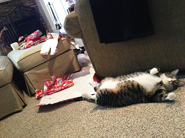 The Wrapping Paper Was Just Too Tasty