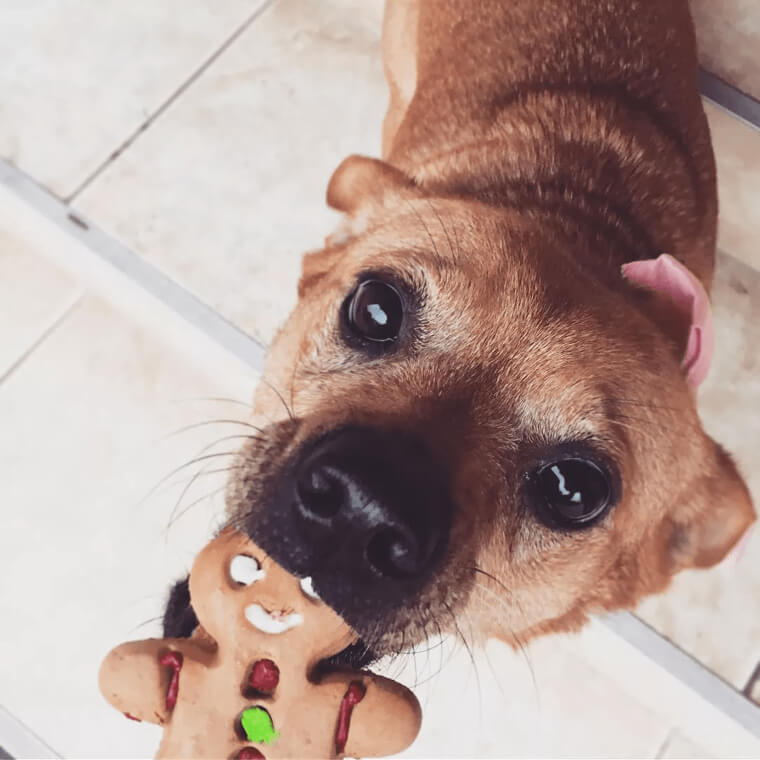 It Was Just Too Tempting