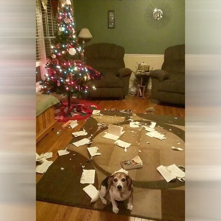 As Innocent as Can Be