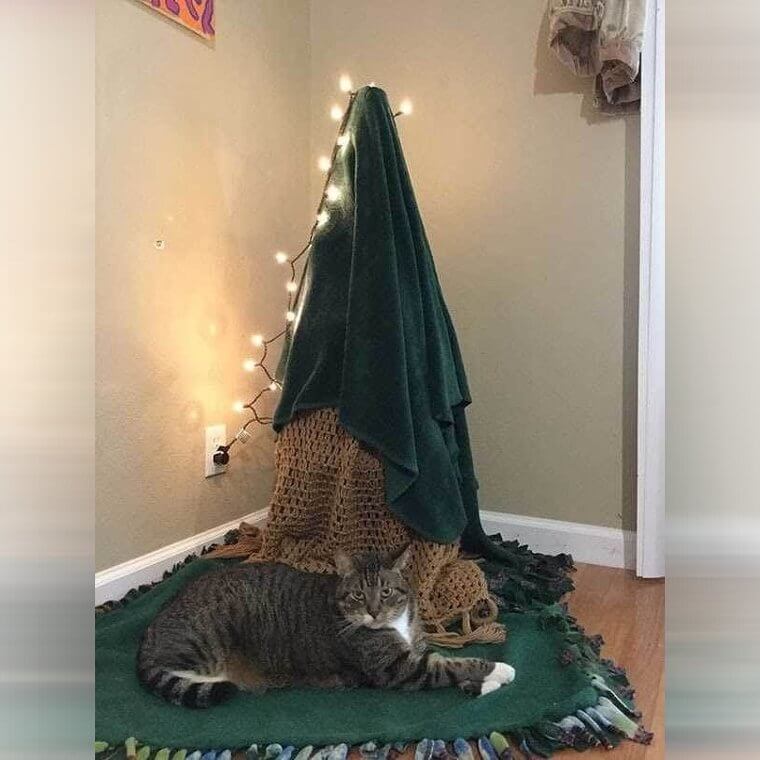 Cat Proof Christmas Tree